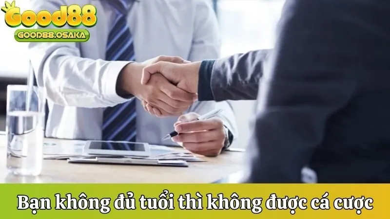 Người chơi không đủ tuổi thì sẽ không được tham gia cá cược