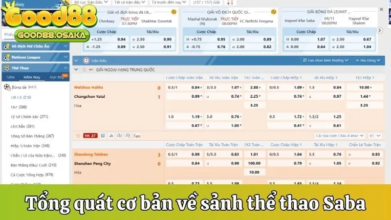 Tổng quát cơ bản về sảnh thể thao Saba